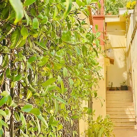 Locanda San Pietro Intero In Centro A * רומא